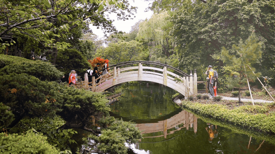 Spring Japanese Festival