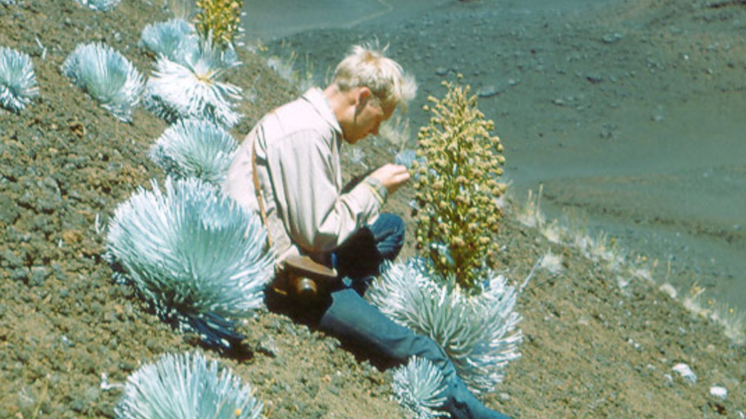 Members-Only: Carlquist Collection Exploration