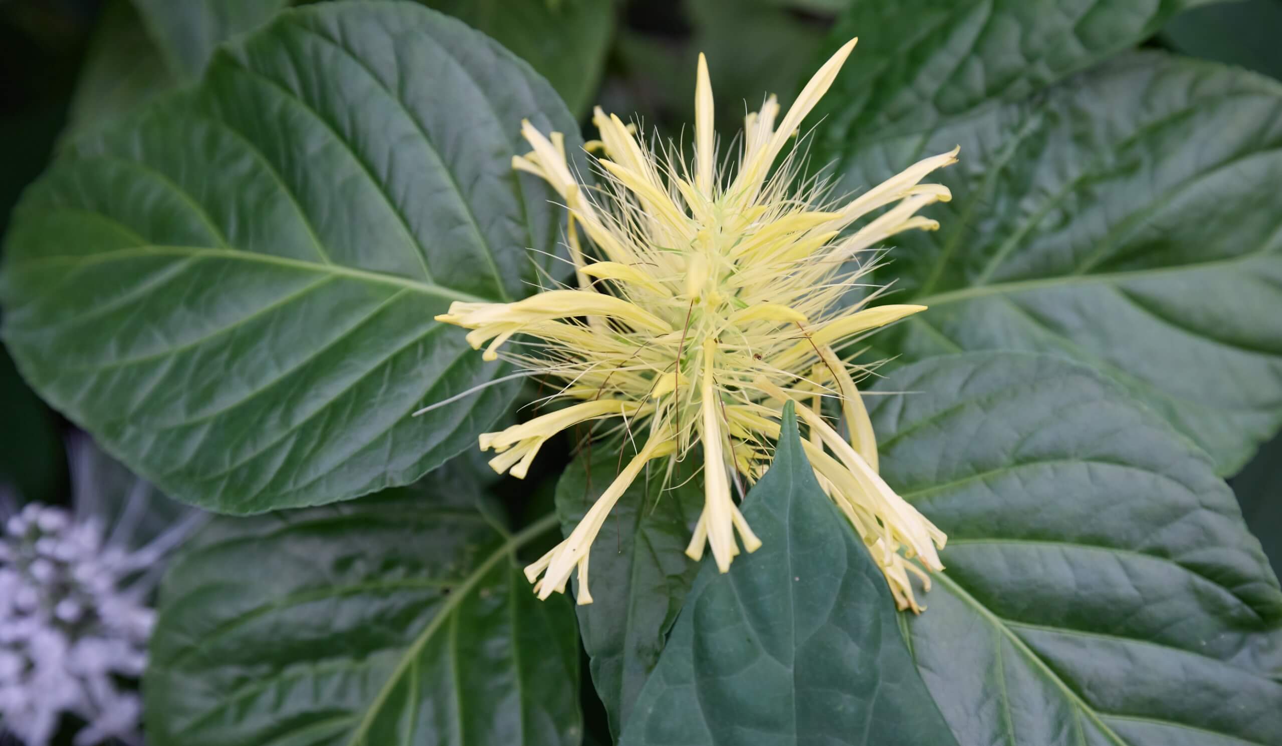 Members-Only: Free Father’s Day Photos