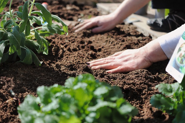 Get Your Hands Dirty in a Garden to Boost Your Mental Health
