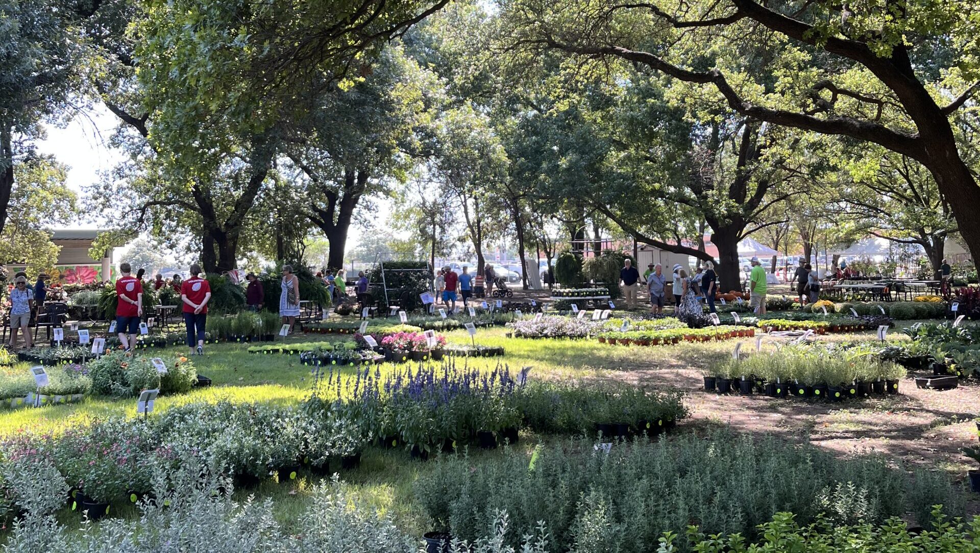 Shop the Fall Plant Sale to Bring Fabulous Fall Color to Your Garden