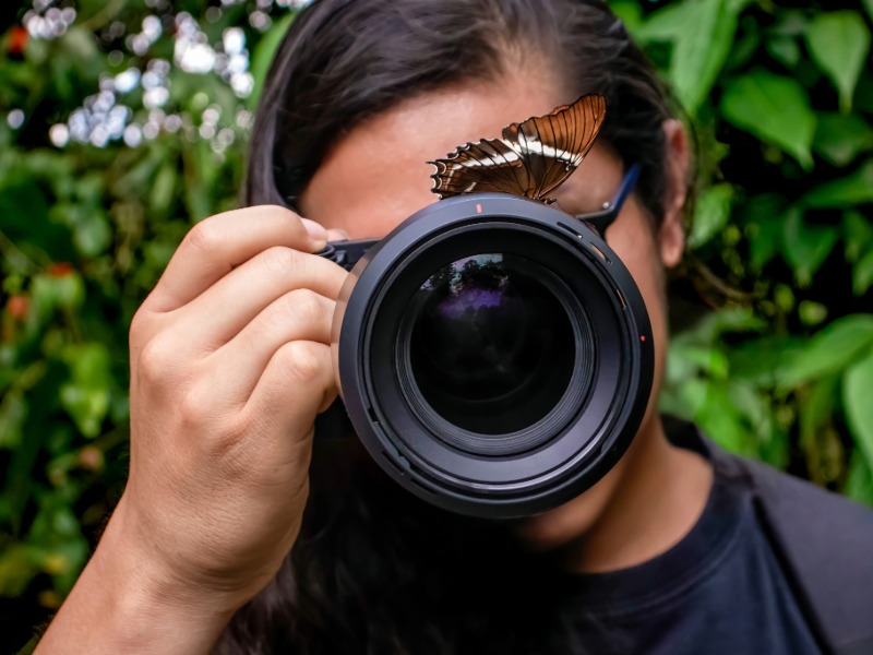 Photographing Butterflies in the Garden: April 22