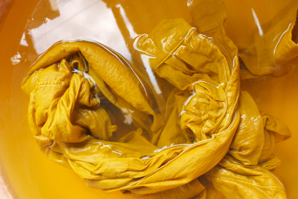 Creative Explorations: Natural Dye From Flowers