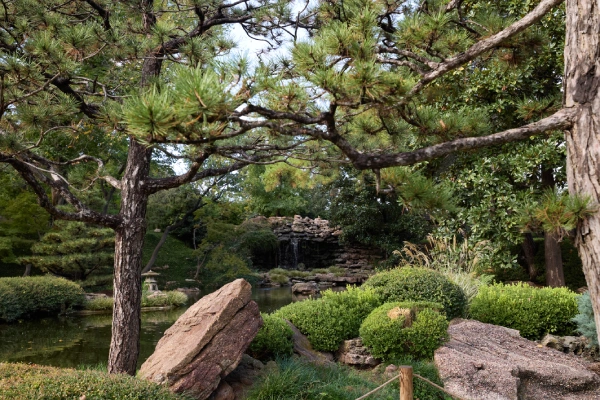 Forest Bathing: Deeper Immersion