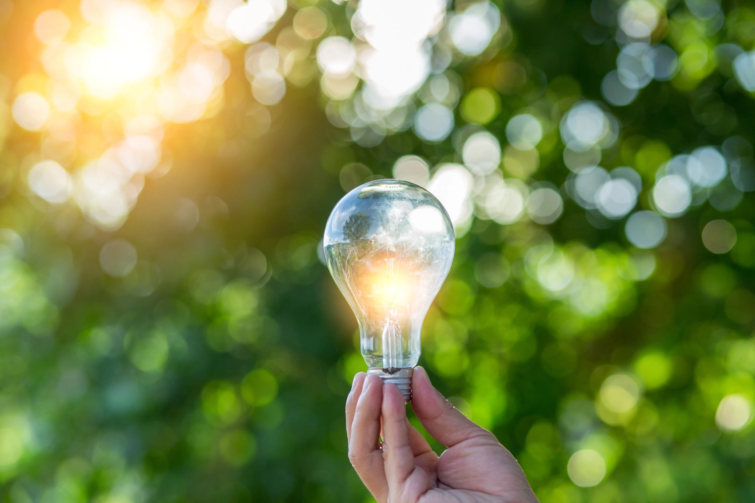 S.E.E.D. Camp: Nature Innovators (Ages 8-11) – Session 1